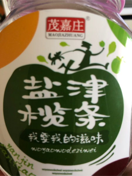 茂嘉庄 盐津<em>榄条</em>