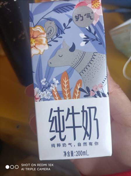 奶气 纯牛奶