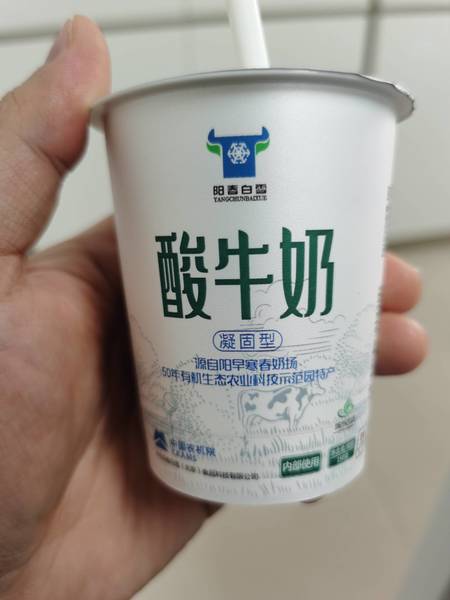 阳春白雪 系列酸牛奶150g(有糖)