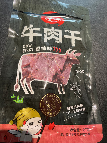 淳风派 牛肉干(香辣味)