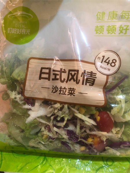 叮咚好食光 日式风情沙拉菜