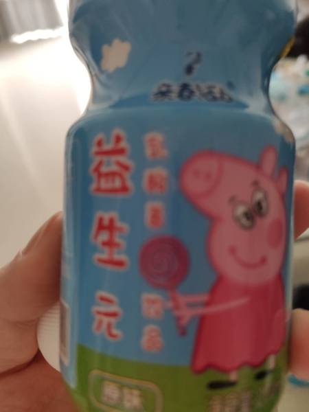 益生元 乳酸菌