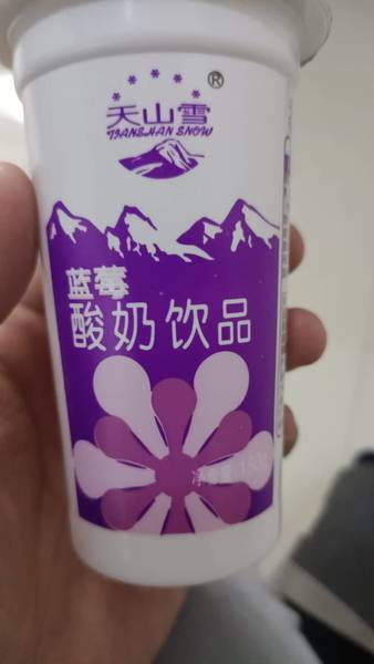 天山雪 蓝莓酸奶饮品/杯