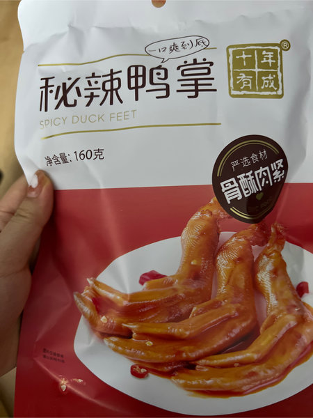 十年有成 秘辣鸭掌