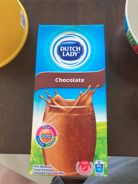 Dutch Lady Chocolate 牛奶