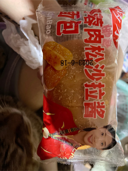 哆乐 椰蓉肉松沙拉酱面包