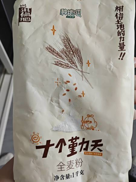 十个勤天 全麦小麦粉