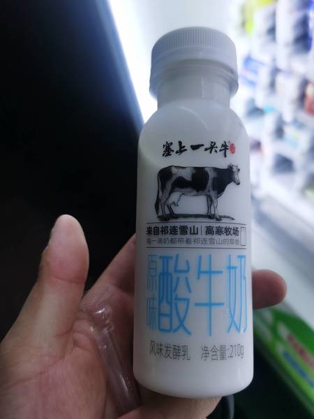 塞上一头牛 原味酸牛奶