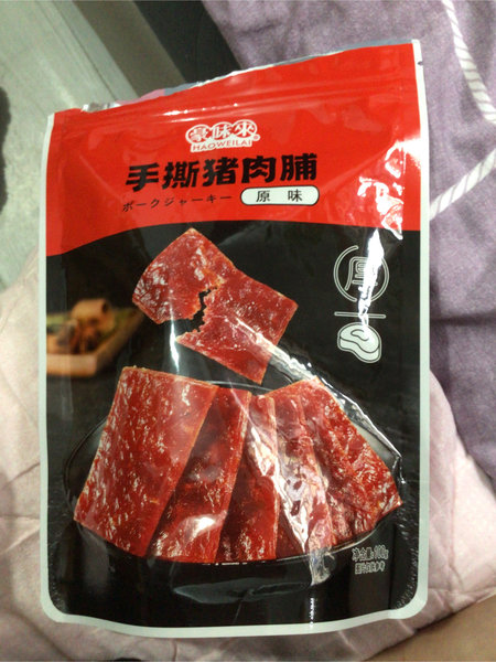 豪味来 手撕猪肉脯原味100克装