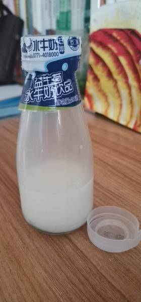 石埠 200mL 益生菌水牛奶饮品