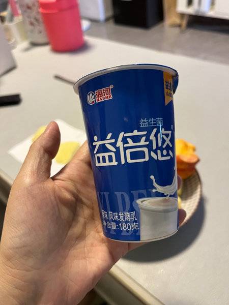 海河乳品 益倍悠益生菌原味发酵乳