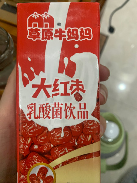 伊怡 大红枣牛奶乳酸菌饮品