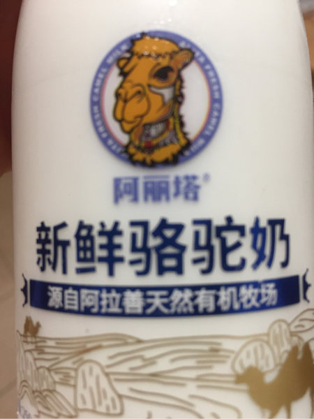 阿丽塔 新鲜骆驼奶