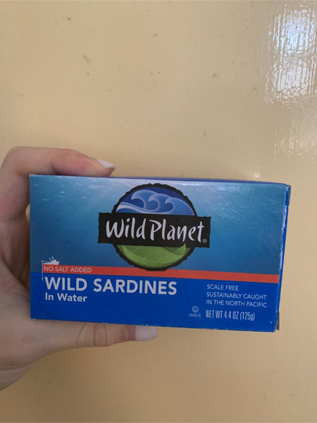 wild <em>planet</em> WildSardinesinwater