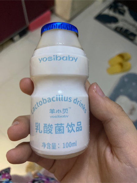 羊小贝 乳酸菌饮品