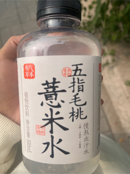 有气草本 五指毛桃薏米水