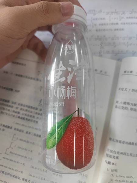 动康 生津小杨梅