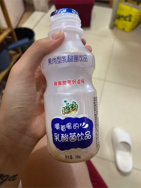 椰芝岛 嚼着喝的乳酸菌(果肉型)