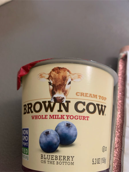 brown cow <em>Blueberry</em>