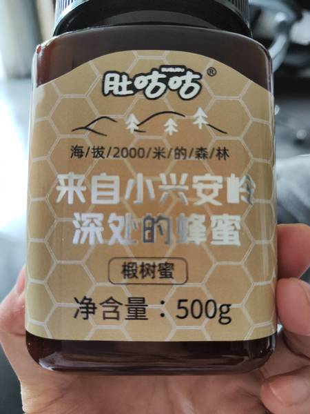 肚咕咕 椴树蜜500g