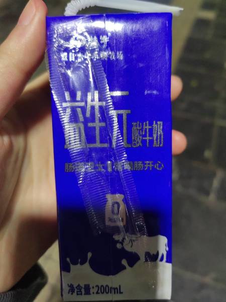 广西桂牛水牛 益生元酸牛奶