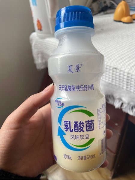 夏景 乳酸菌风味饮品-原味