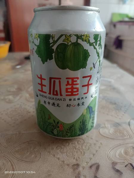 秋谣 香瓜味汽水(生瓜蛋子)