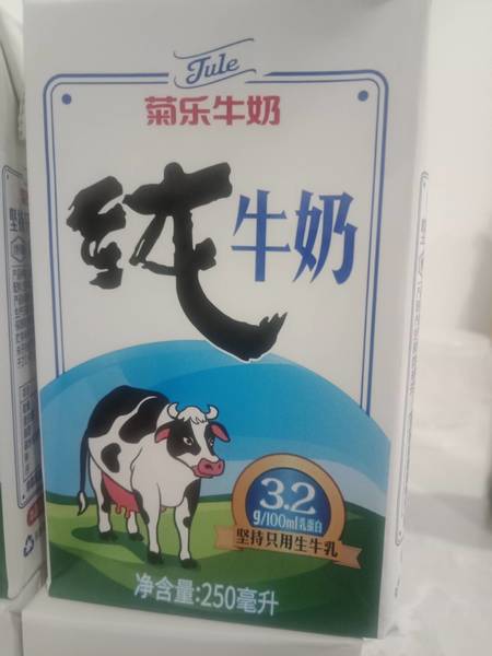 菊乐 纯牛奶  整箱 250ml*24